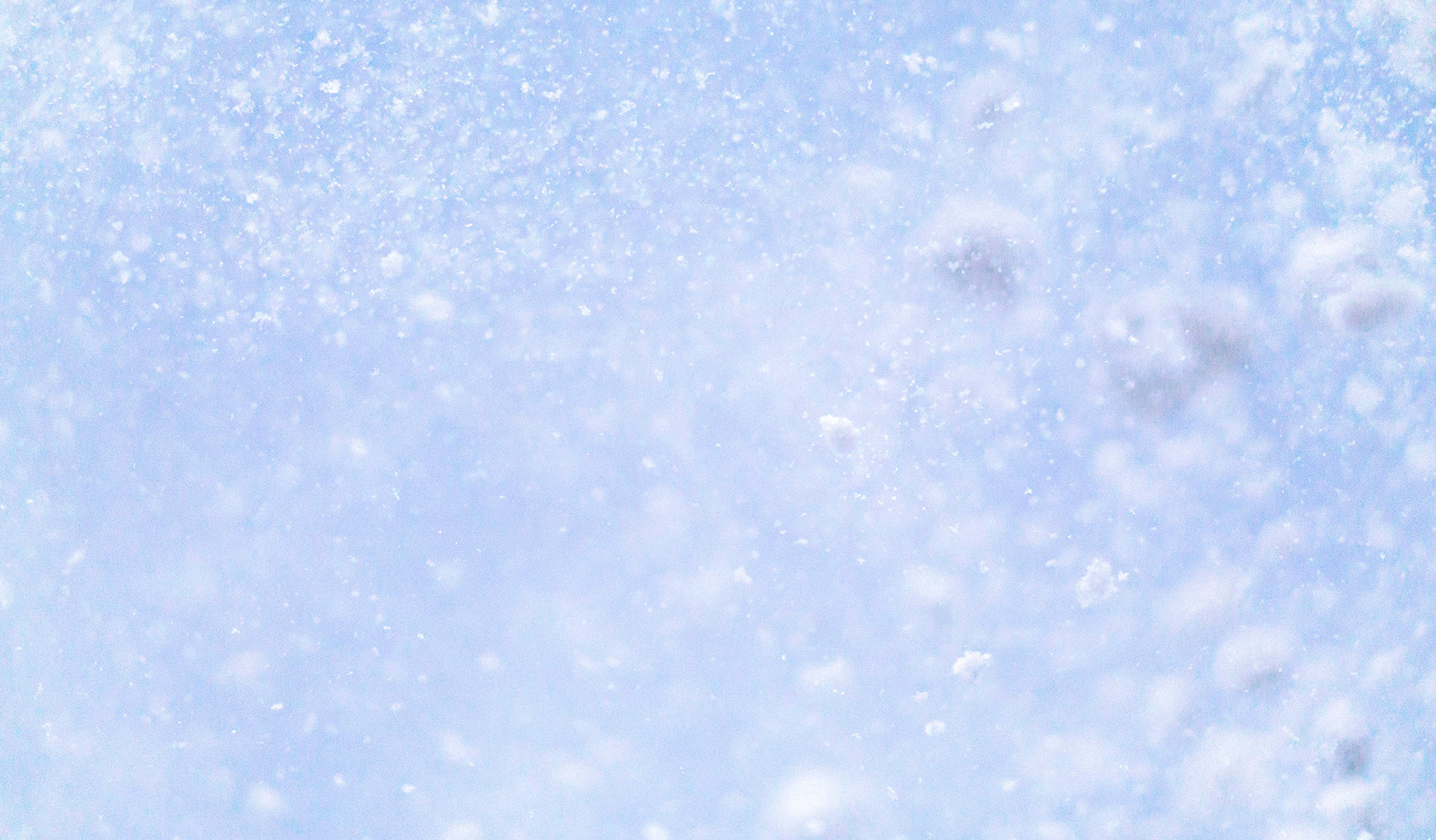 Winter fragrances